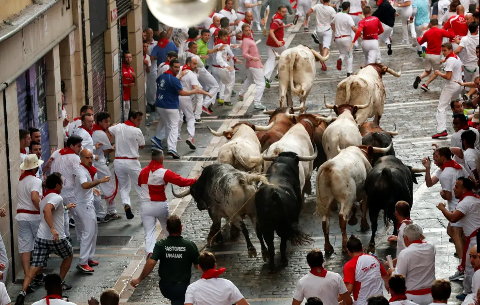 Revellers sprint near bulls and steers during the second running of the bulls at the San Fermin festival in Pamplona, Spain, July 8, 2019. REUTERS/Susana Vera [[[REUTERS VOCENTO]]] SPAIN-CULTURE/BULLS