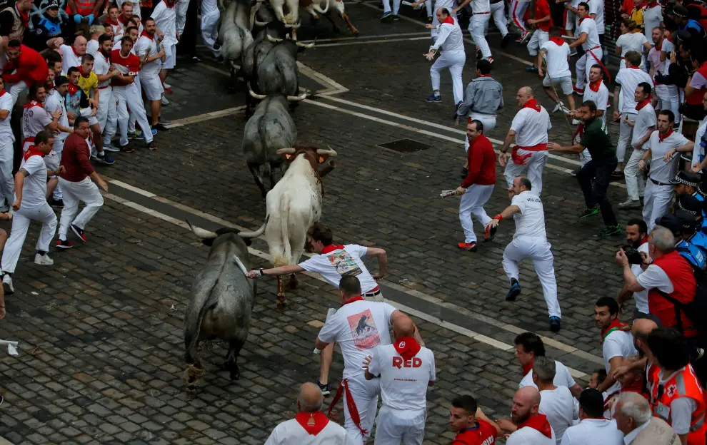 Bulls arrive before the running of the bulls at the San Fermin festival in Pamplona, Spain, July 9, 2019. REUTERS/Jon Nazca [[[REUTERS VOCENTO]]] SPAIN-CULTURE/BULLS