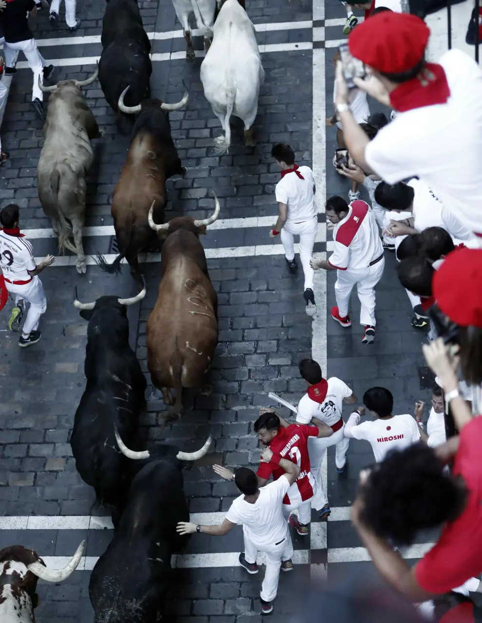 Revellers sprint near bulls and steers during the running of the bulls at the San Fermin festival in Pamplona, Spain, July 12, 2019. REUTERS/Jon Nazca [[[REUTERS VOCENTO]]] SPAIN-CULTURE/BULLS
