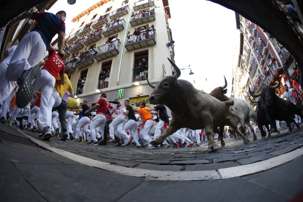 Revellers sprint near bulls and steers during the running of the bulls at the San Fermin festival in Pamplona, Spain, July 12, 2019. REUTERS/Jon Nazca [[[REUTERS VOCENTO]]] SPAIN-CULTURE/BULLS