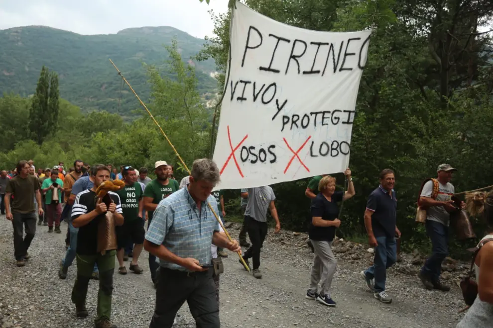 Protesta de los ganaderos del valle de Chistau contra el oso.