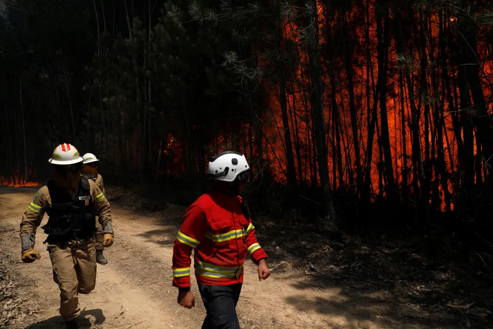 A villager helps put out a forest fire near Macao, Portugal July 22, 2019. REUTERS/Rafael Marchante [[[REUTERS VOCENTO]]] PORTUGAL-WILDFIRES/