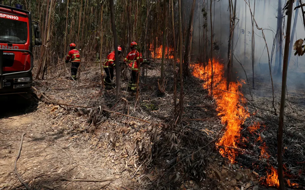 Firefighters help put out a forest fire near Macao, Portugal July 22, 2019. REUTERS/Rafael Marchante [[[REUTERS VOCENTO]]] PORTUGAL-WILDFIRES/