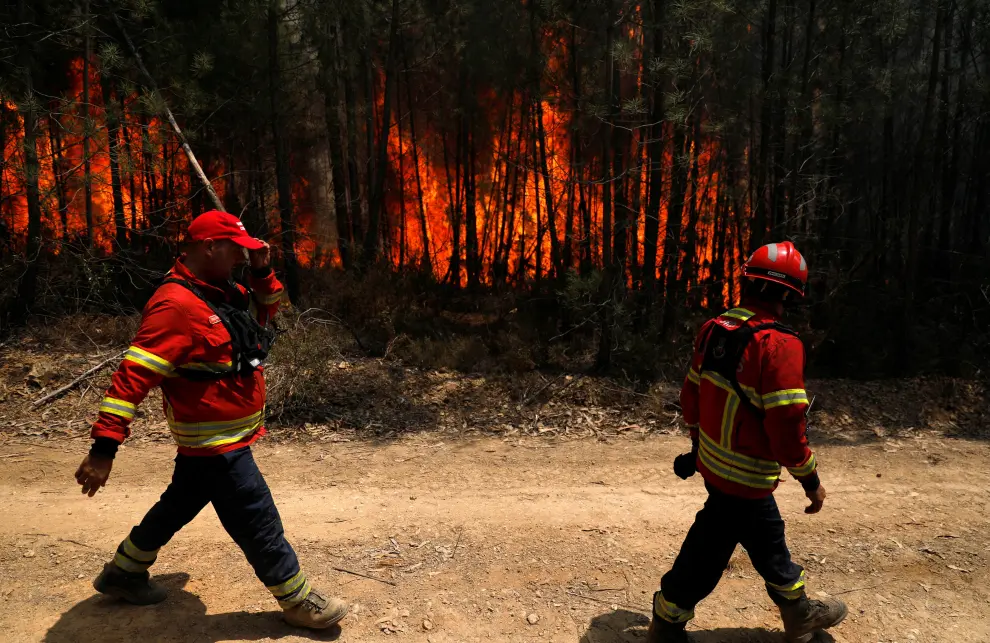 Firefighters help put out a forest fire near Macao, Portugal July 22, 2019. REUTERS/Rafael Marchante [[[REUTERS VOCENTO]]] PORTUGAL-WILDFIRES/