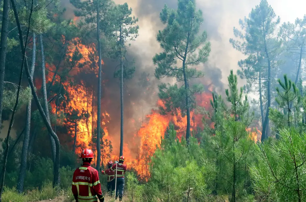 Firefighters pass near a forest fire near Macao, Portugal July 22, 2019. REUTERS/Rafael Marchante [[[REUTERS VOCENTO]]] PORTUGAL-WILDFIRES/