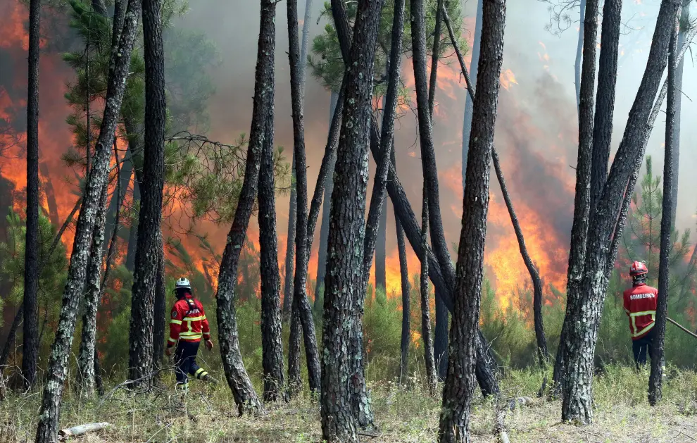 Macao (Portugal), 22/07/2019.- Firefighters combat a forest fire in Casais de Sao Bento, Cardigos, Macao, Portugal, 22 July 2019. About 1078 firefighters, 332 vehicles and 14 airplane are fighting the forest fire. The wild fires in central Portugal started on 20 July and are spreading by strong winds. (Incendio) EFE/EPA/ANTIONIO JOSE Forest fire in Macao