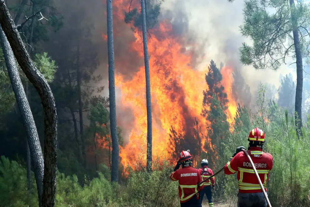 Macao (Portugal), 22/07/2019.- Firefighters combat a forest fire in Casais de Sao Bento, Cardigos, Macao, Portugal, 22 July 2019. About 1078 firefighters, 332 vehicles and 14 airplane are fighting the forest fire. The wild fires in central Portugal started on 20 July and are spreading by strong winds. (Incendio) EFE/EPA/ANTIONIO JOSE Forest fire in Macao