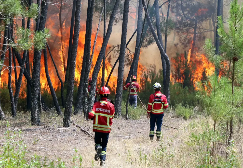Los Bomberos trabajan por controlar las llamas en Portugal.