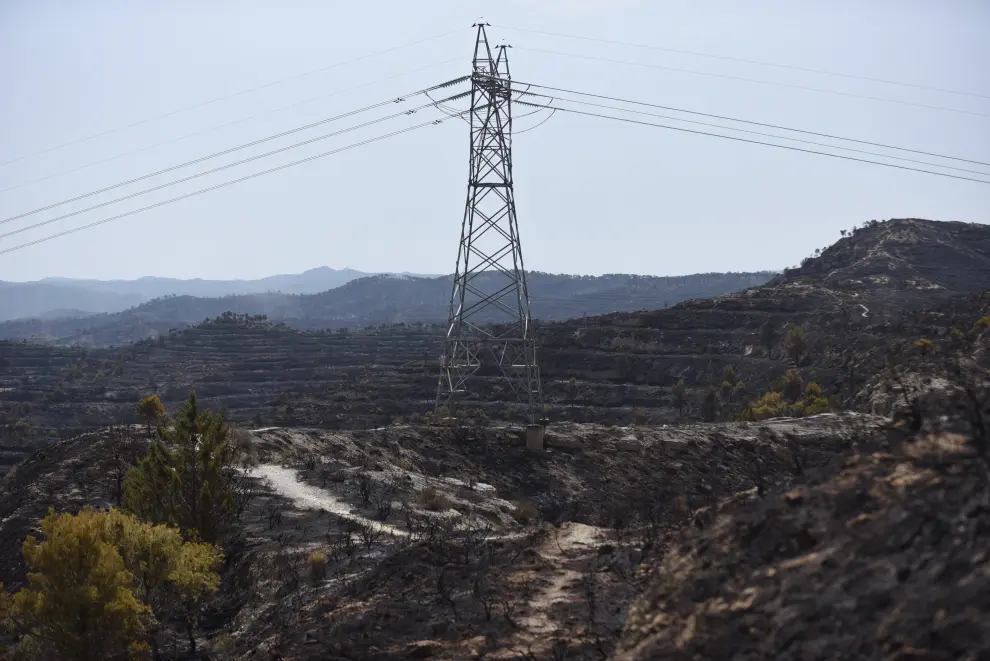El incendio de la sierra de Alcubierre, entre Leciñena y Perdiguera, ha quemado 1.200 hectáreas