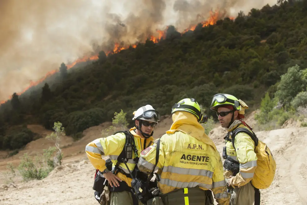 Los agentes de protección de la naturaleza (APN) dirigen las cuadrillas forestales del Gobierno de Aragón y la extinción del incendio en primera instancia.