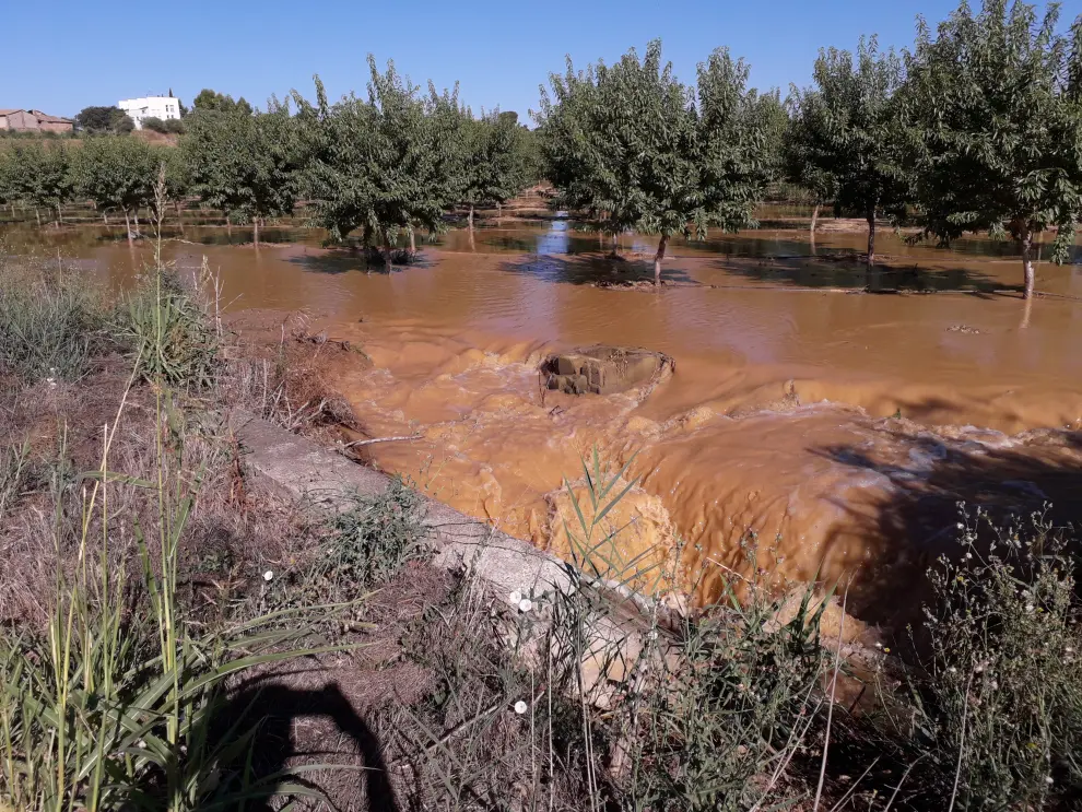 Una rotura del canal de Aragón y Cataluña inunda campos y granjas de Tamarite y obliga a cortar el riego en plena campaña