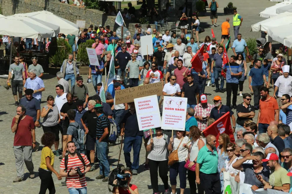 La multitudinaria protesta ha partido de la rotonda de entrada a Aínsa para dirigirse a la plaza Mayor.