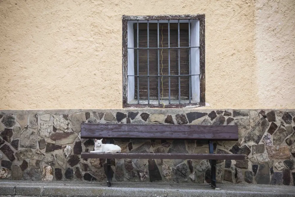 Un gato reposa en su banco favorito en las calles de Luesma