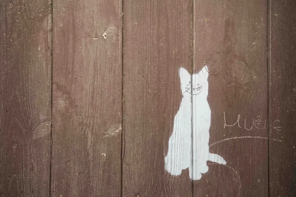 Un gato bidimensional entre las calles de Tarazona