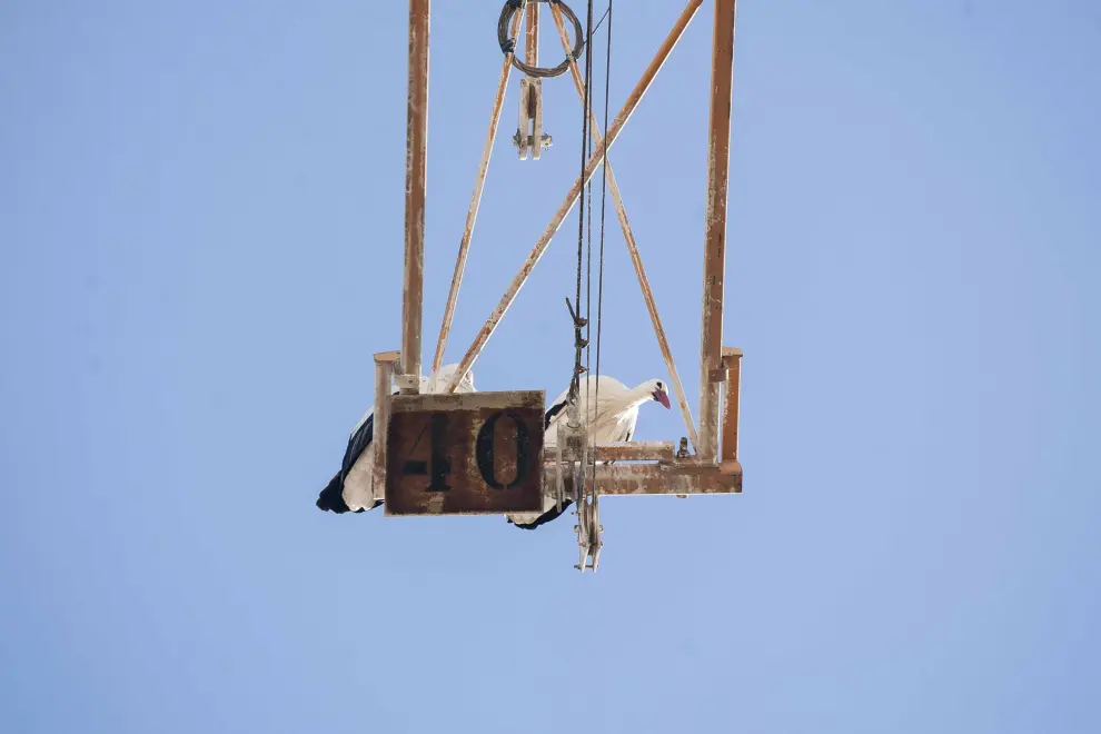 Dos cigüeñas instaladas en las alturas del polígono industrial La Noria en El Burgo de Ebro