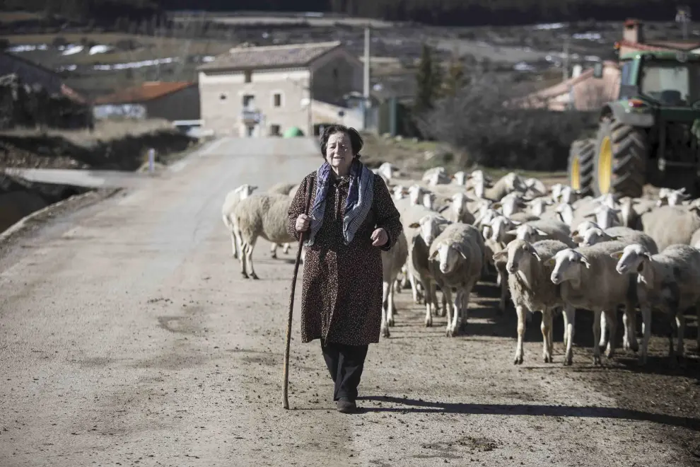 Rufina echa circunstancialmente una mano en el pastoreo a su hijo, en Fonfría