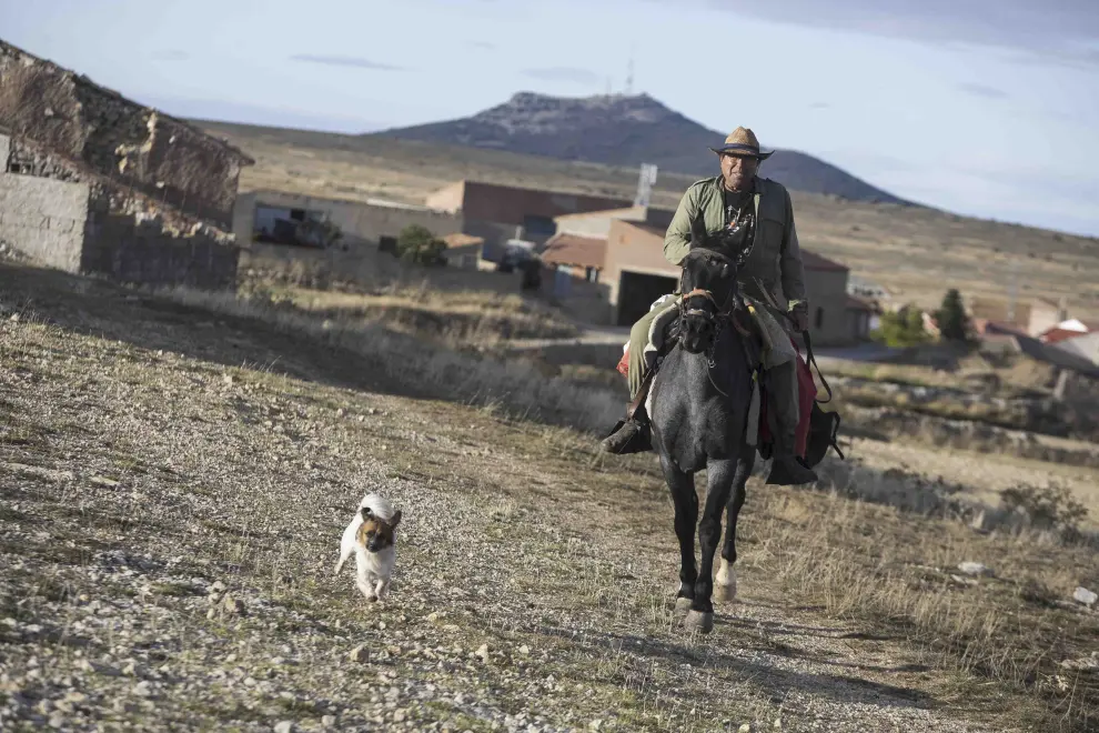 Chema Gálvez a lomos de su yegua favorita, con su perro a la carrera, en el paseo vespertino hacia su explotación ganadera, en Pozondón