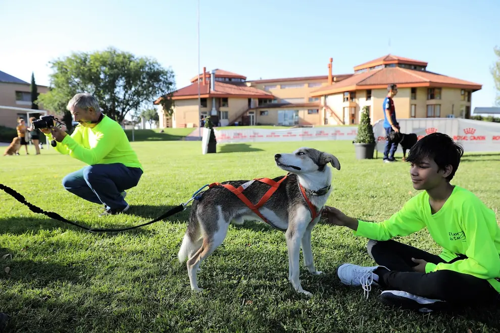 Participantes en el V Envento Canino celebrado en Brotalia