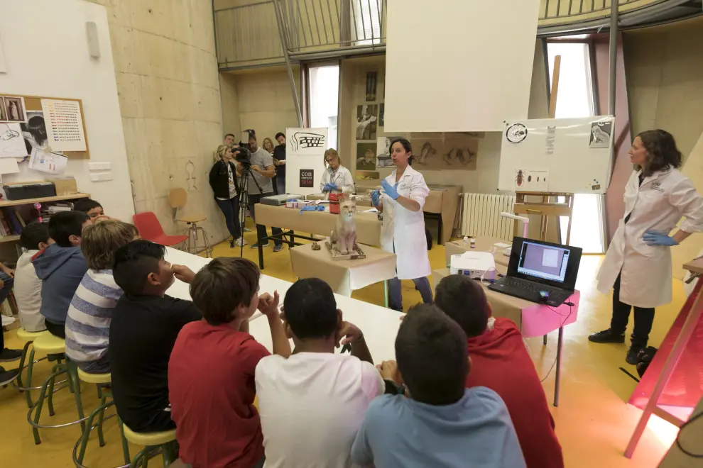 La Escuela de Conservación y Restauración de Aragón ha organizado este miércoles un taller didáctico para alumnos de 5º de Primaria del colegio El Parque de Huesca.