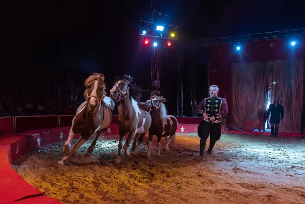 Imágenes de Zoorprendente, el Circo de los Animales, en las Fiestas del Pilar 2019 de Zaragoza