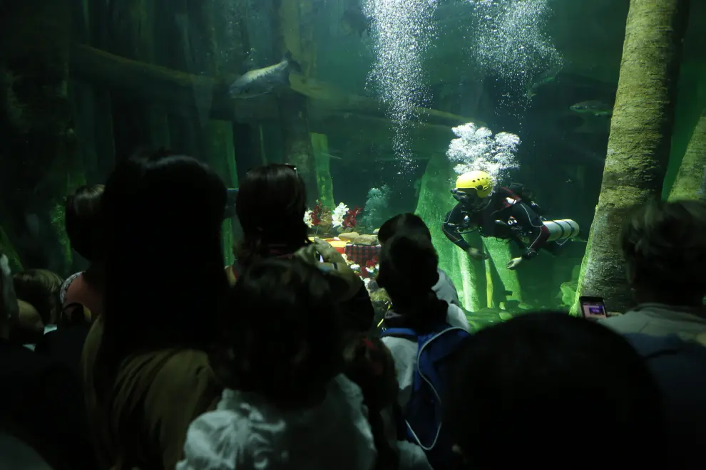Ofrenda subacuática en el Acuario de Zaragoza