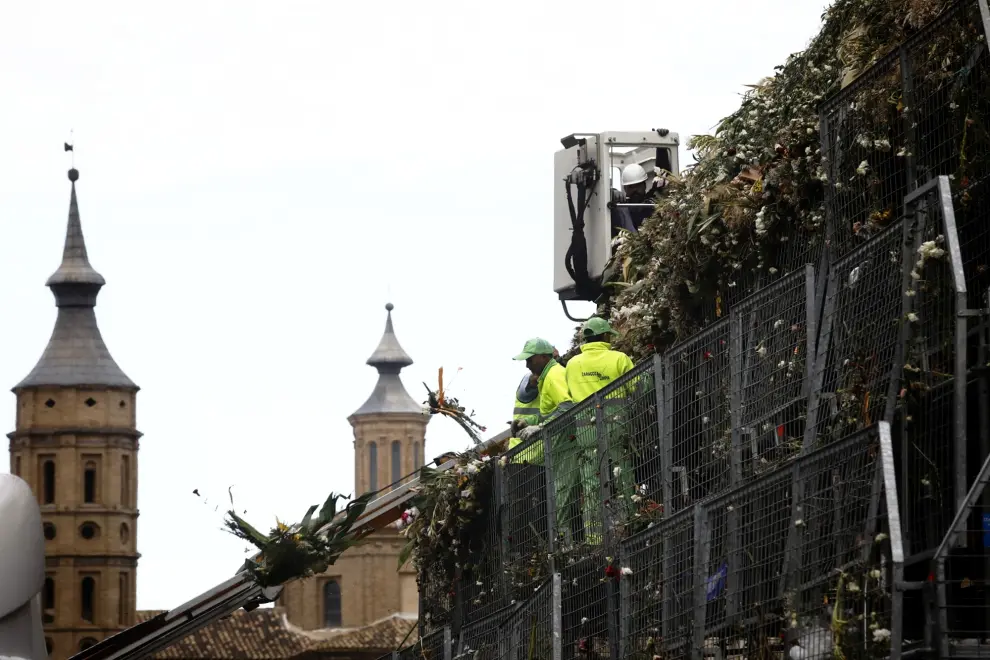 Comienzan a retirar las flores de la Ofrenda en la plaza del Pilar de Zaragoza