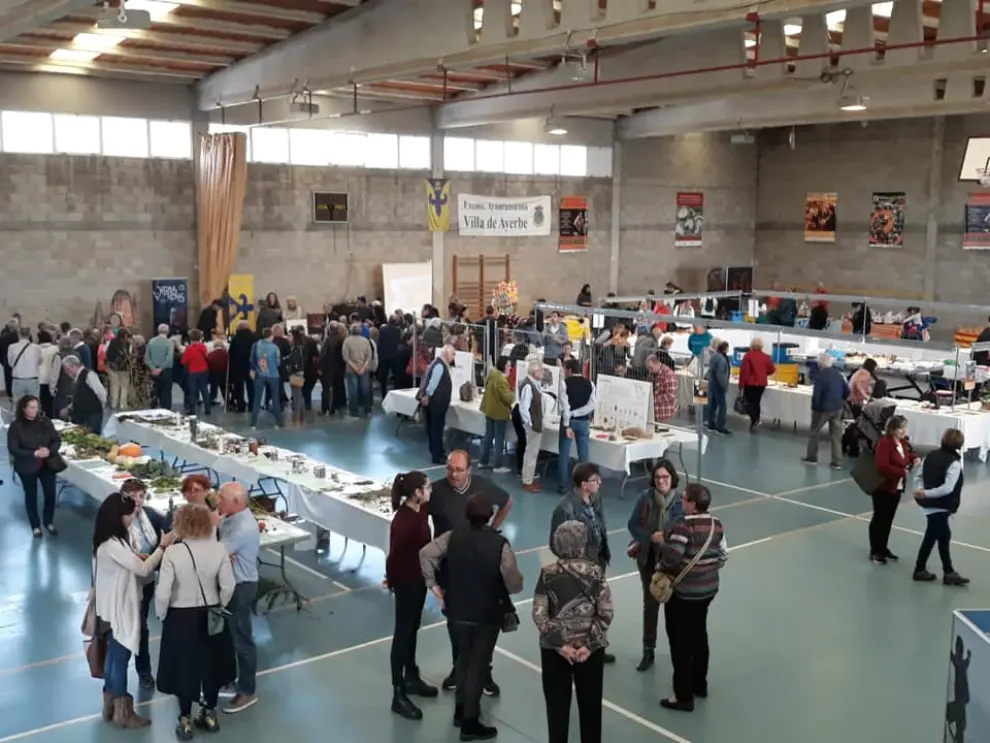 Más de 2.500 personas han asistido este fin de semana a las diferentes actividades de las XXIX Jornadas Micológicas de Ayerbe.