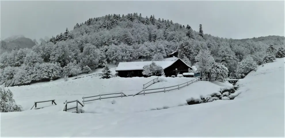 La nieve deja hasta 40 centímetros de nieve acumulados en los Espacios Nórdicos de Aragón, y sigue subiendo.