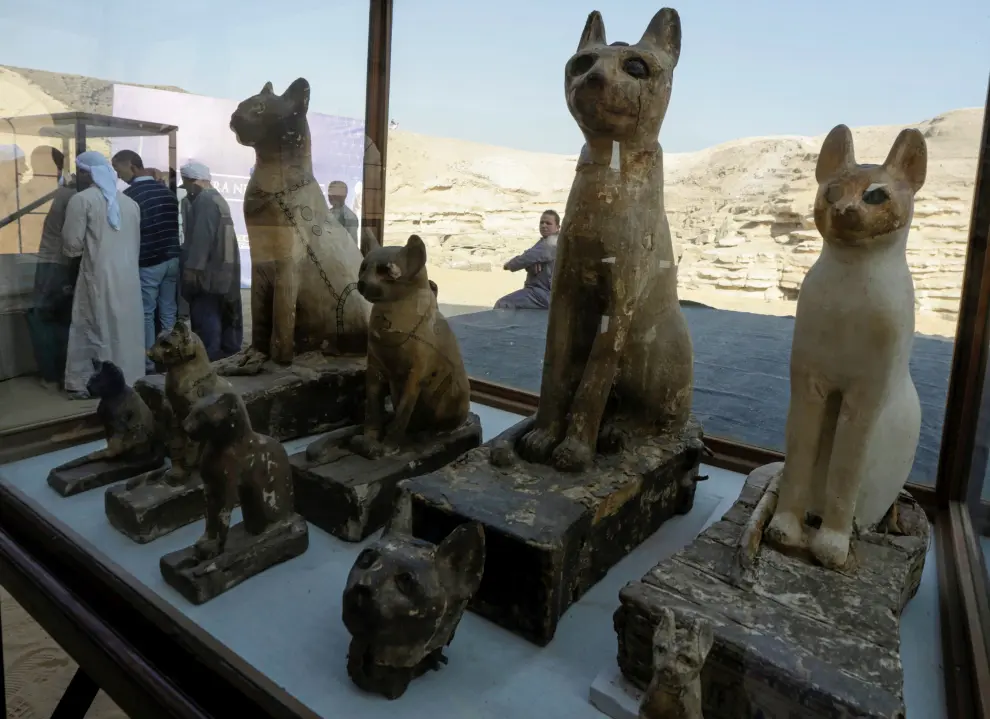 Cat statues that were found inside a cache, at the Saqqara area near its necropolis are pictured in Giza, Egypt, November 23, 2019. REUTERS/Hayam Adel [[[REUTERS VOCENTO]]] EGYPT-ARCHAEOLOGY/