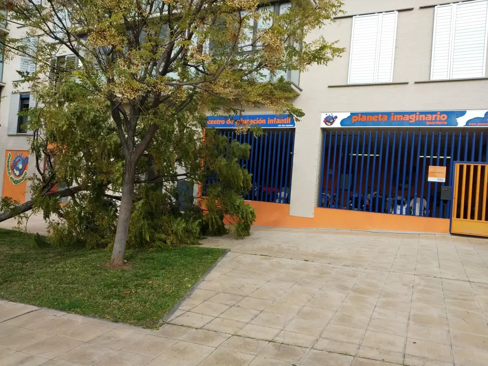 Cae un árbol junto a una escuela infantil en Valdespartera