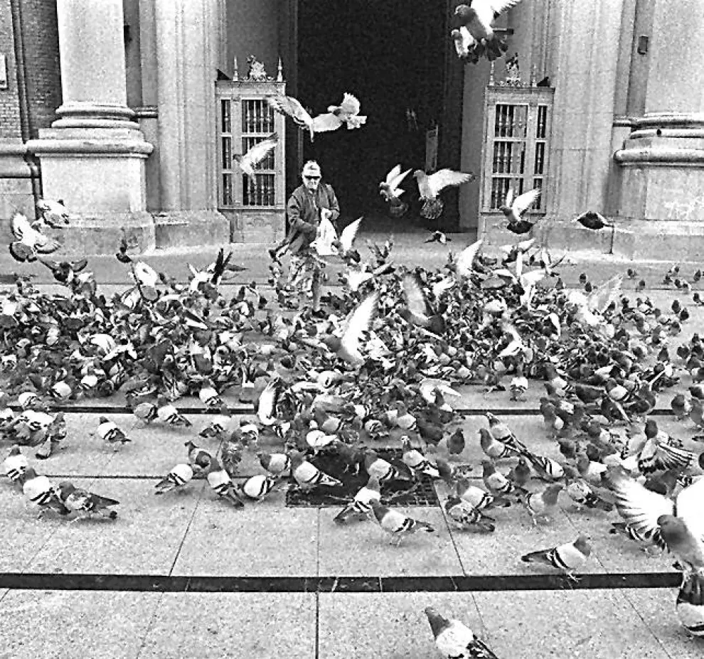 Imágenes de palomas en la plaza del Pilar de Zaragoza.