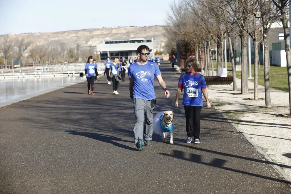 Este domingo se ha celebrado en el Parque del Agua de Zaragoza la IV edición de la Carrera 'Actívate por la diabetes' con el fin de dar visibilidad a una enfermedad crónica, la diabetes, que en Aragón afecta a más de 120.000 personas.
