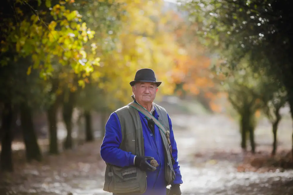 José Luis Araguás es pionero en Huesca en el cultivo de trufa