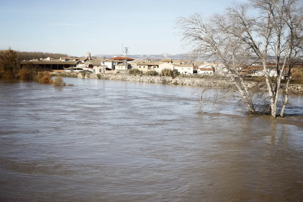 Crecida del río Ebro a su paso por la localidad zaragozana de Gallur.