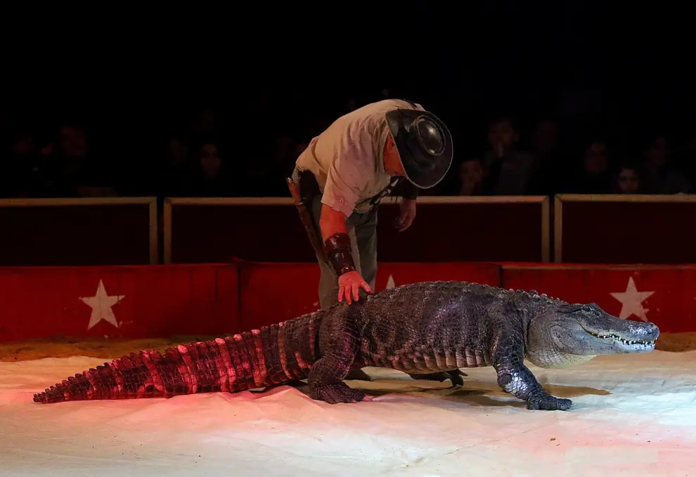 Mr. Krokodile mostrará las serpientes gigantes del Nilo y los cocodrilos.