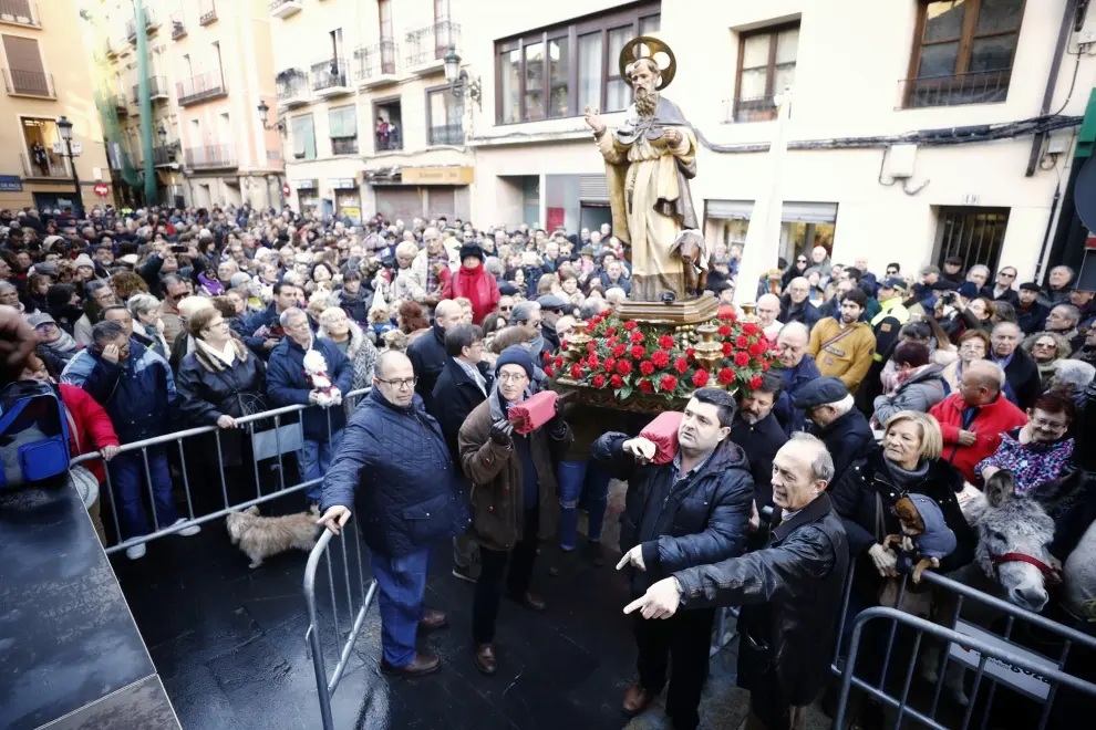 Celebración de San Antón en Zaragoza