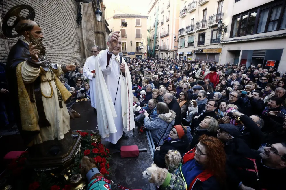 Celebración de San Antón en Zaragoza
