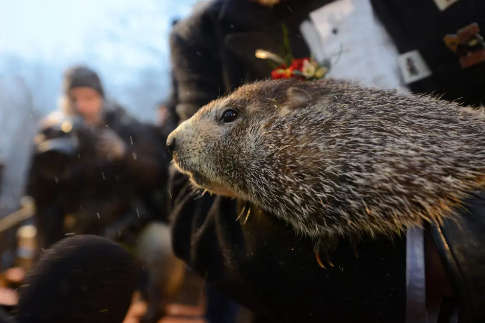 Groundhog Club President Bill Deeley knocks on Phil's burrow door to wake him on the 134th Groundhog Day at Gobblers Knob in Punxsutawney, Pennsylvania, U.S., February 2, 2020. REUTERS/Alan Freed [[[REUTERS VOCENTO]]] USA-GROUNDHOGDAY/