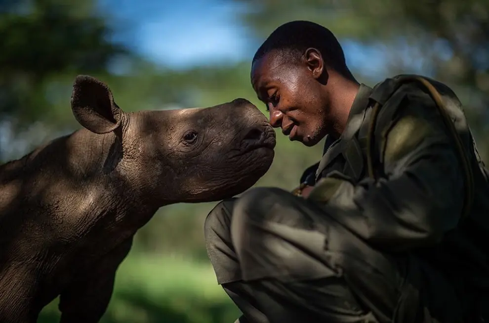 Conexión entre un cuidador keniano de rinocerontes y los animales, de Martin Buzora.