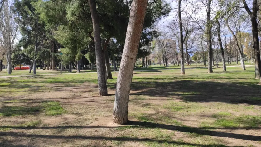 El Parque Tío Jorge vuelve a la normalidad tras la Cincomarzada