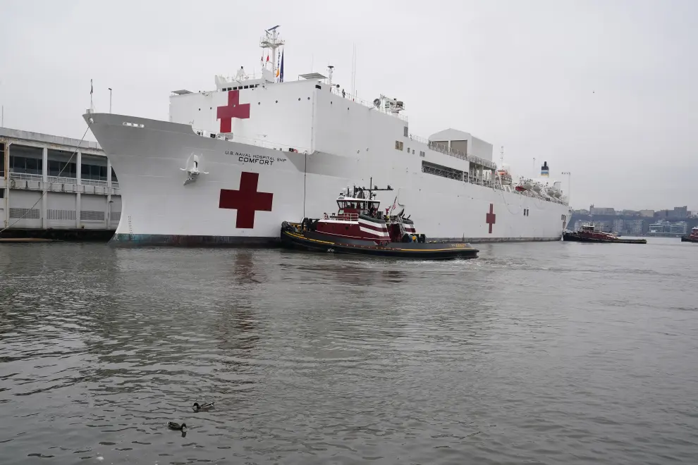 Ducks swim after the USNS Comfort pulled into a berth in Manhattan during the outbreak of coronavirus disease (COVID-19), in the Manhattan borough of New York City