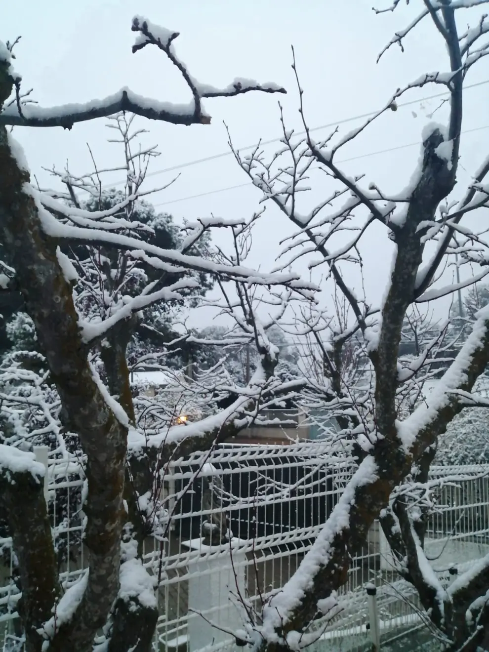Nieve en La Muela.
