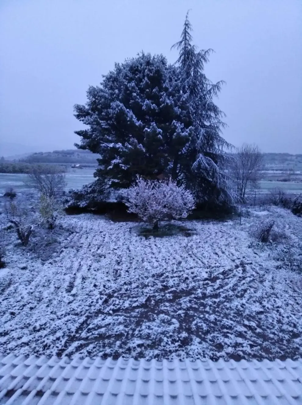 Nieve en Robres (Monegros).