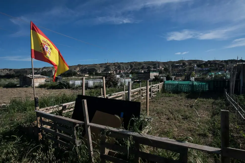 La desescalada, en fotos: Primeras visitas a los huertos de Zaragoza