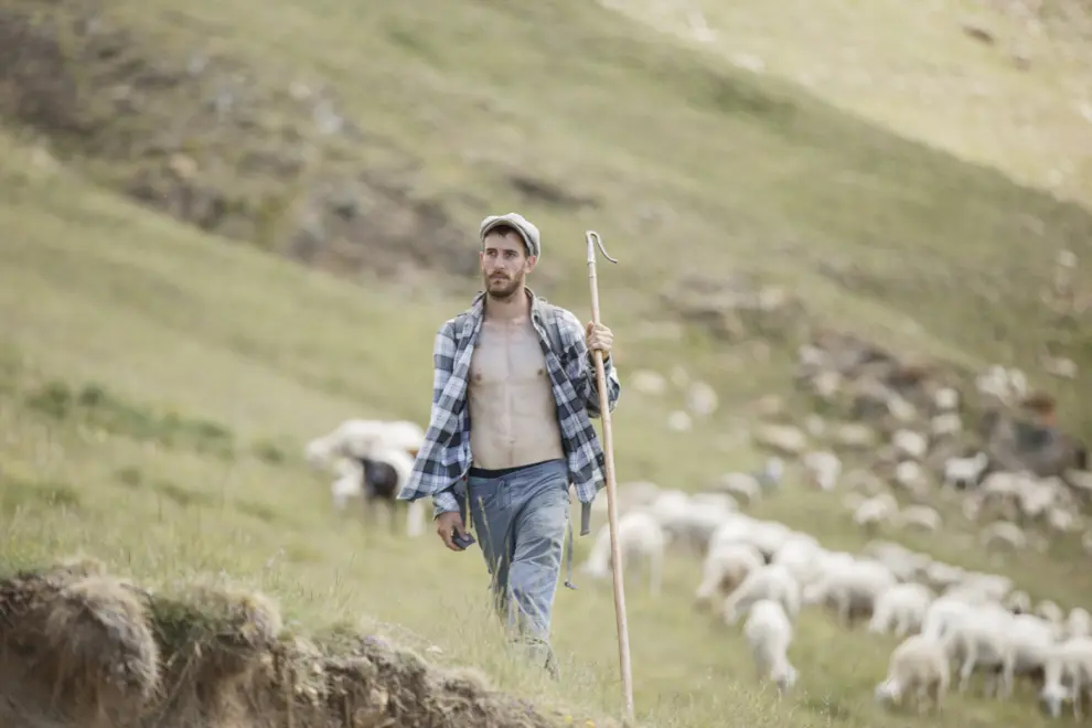 Imágenes del programa 'Entre ovejas' de TVE, con el pastor aragonés Zacarías Fievet.