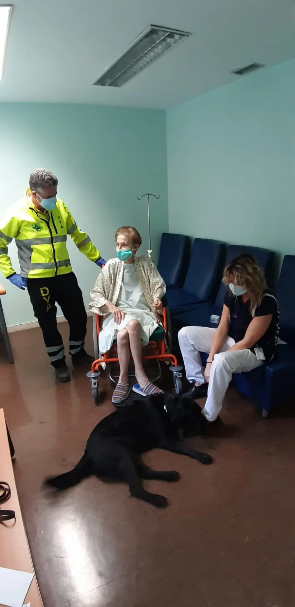 Reencuentro de Soledad y su perro guía en el hospital Miguel Servet