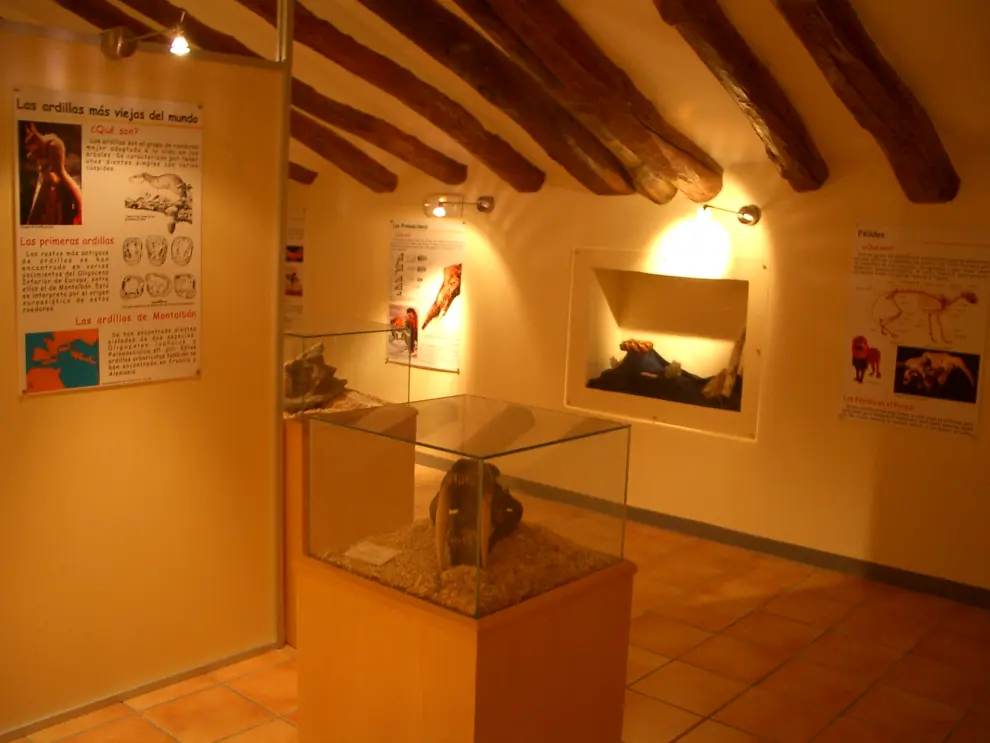 Centro de Interpretación de Paleontología Francisco Andreu en Alacón.
