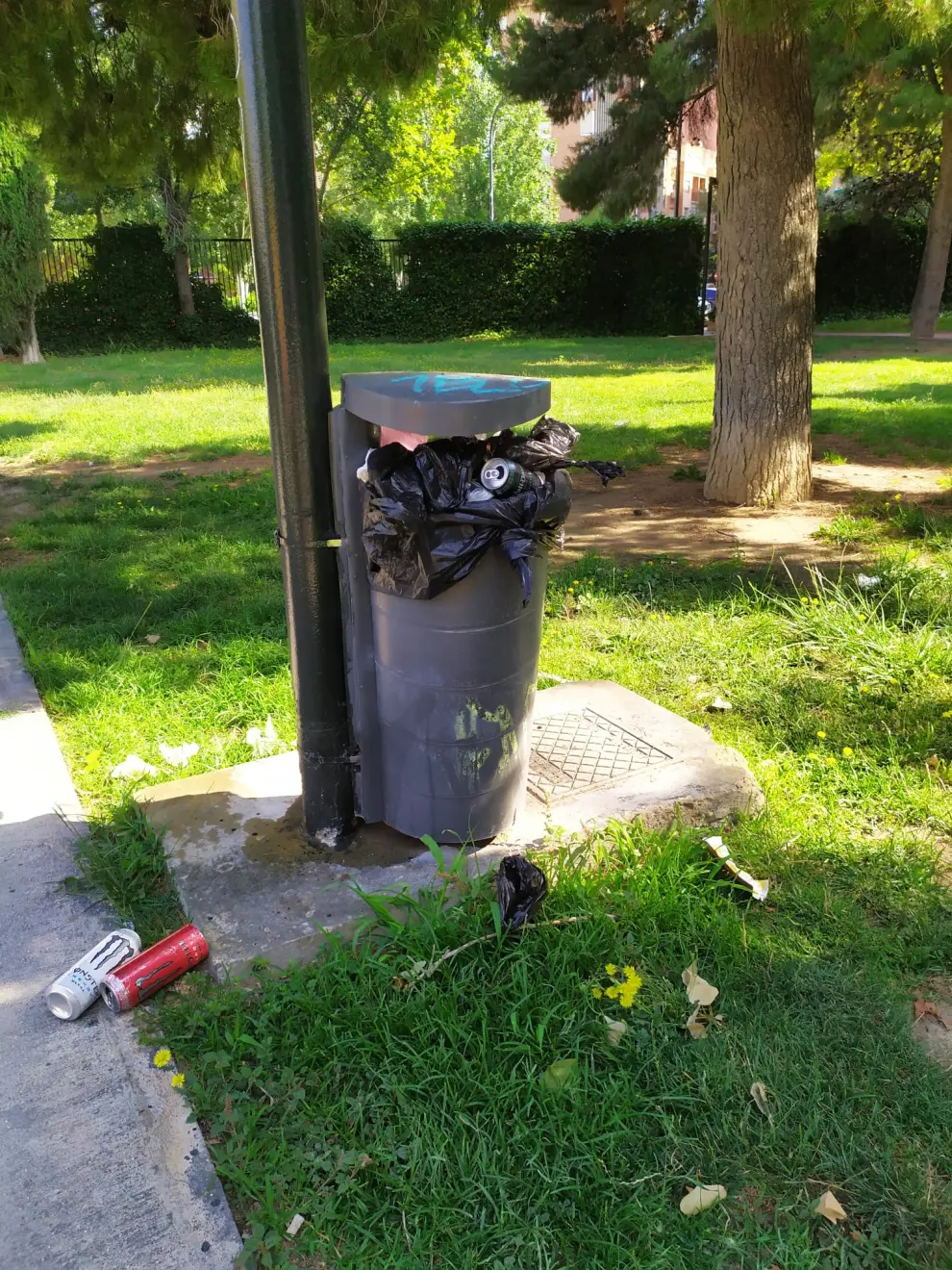 El botellón y la suciedad se instalan en el parque Delicias
