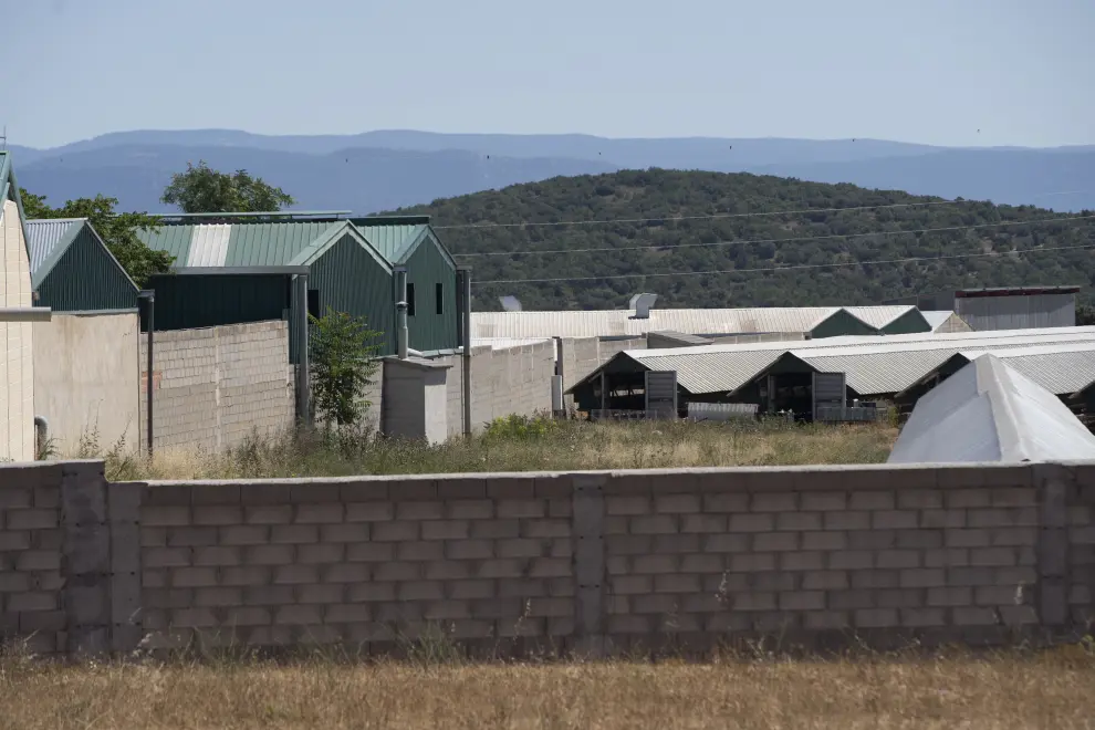 Granja de visones en la Puebla de Valverde, a la que la DGA ha ordenado sacrificar a mas de 90.000 ejemplare