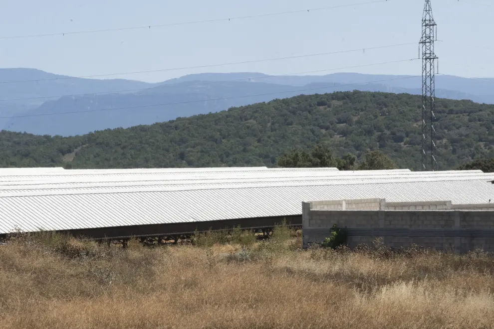 Granja de visones en la Puebla de Valverde, a la que la DGA ha ordenado sacrificar a mas de 90.000 ejemplare